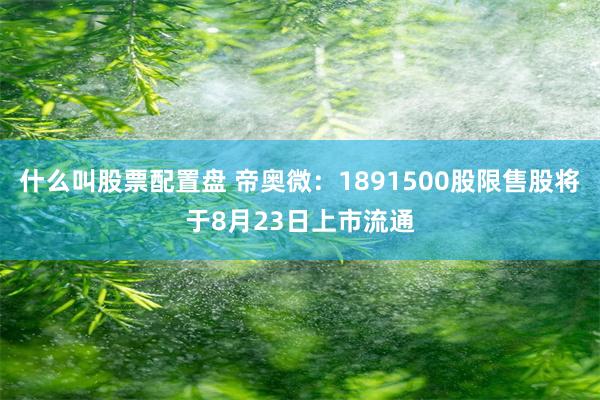 什么叫股票配置盘 帝奥微：1891500股限售股将于8月23日上市流通