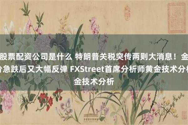 股票配资公司是什么 特朗普关税突传两则大消息！金价急跌后又大幅反弹 FXStreet首席分析师黄金技术分析