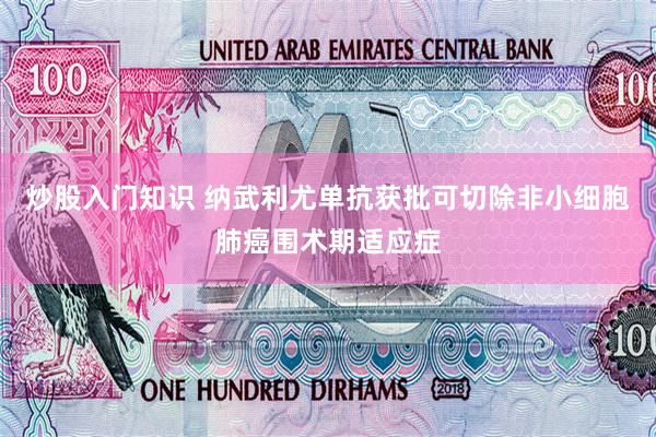 炒股入门知识 纳武利尤单抗获批可切除非小细胞肺癌围术期适应症