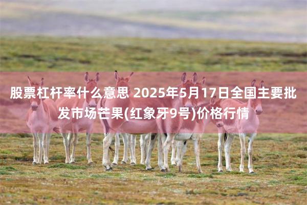 股票杠杆率什么意思 2025年5月17日全国主要批发市场芒果(红象牙9号)价格行情