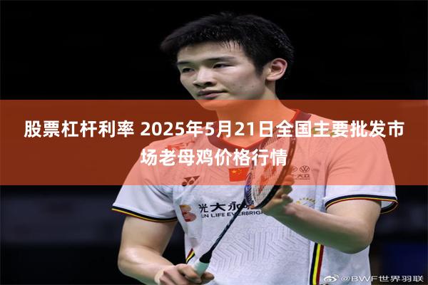 股票杠杆利率 2025年5月21日全国主要批发市场老母鸡价格行情