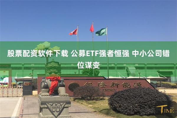 股票配资软件下载 公募ETF强者恒强 中小公司错位谋变