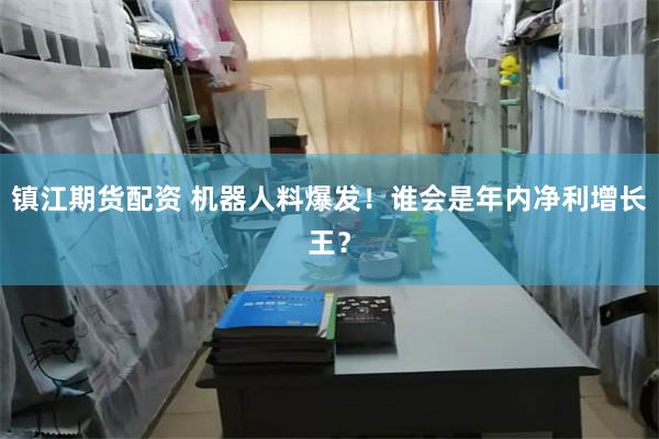 镇江期货配资 机器人料爆发！谁会是年内净利增长王？