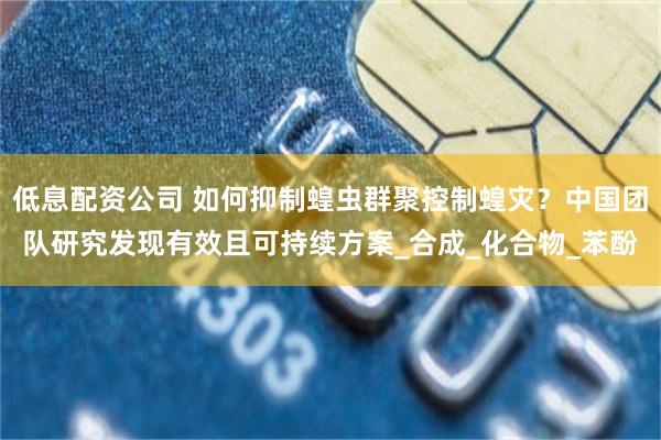 低息配资公司 如何抑制蝗虫群聚控制蝗灾？中国团队研究发现有效且可持续方案_合成_化合物_苯酚