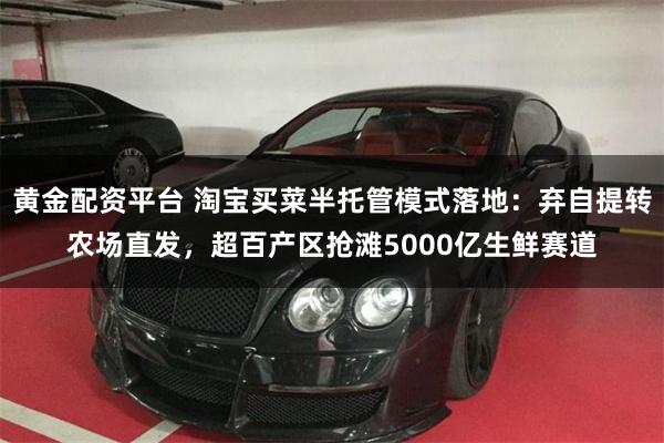 黄金配资平台 淘宝买菜半托管模式落地：弃自提转农场直发，超百产区抢滩5000亿生鲜赛道