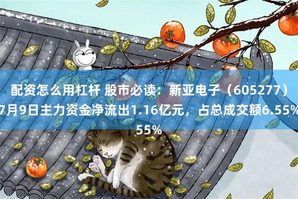 配资怎么用杠杆 股市必读：新亚电子（605277）7月9日主力资金净流出1.16亿元，占总成交额6.55%
