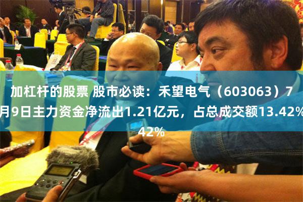 加杠杆的股票 股市必读：禾望电气（603063）7月9日主力资金净流出1.21亿元，占总成交额13.42%