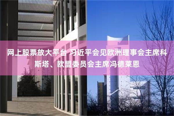 网上股票放大平台 习近平会见欧洲理事会主席科斯塔、欧盟委员会主席冯德莱恩