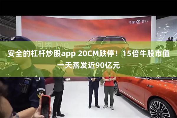 安全的杠杆炒股app 20CM跌停！15倍牛股市值一天蒸发近90亿元